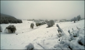 29 octobre 2008 - on passe aux choses sérieuses, la neige débarque en force à St Nizier du Moucherotte ... 