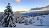 30 octobre 2008 - on relève plus de 30 cm de neige sur le plateau du Vercors, c'est beau, tout simplement ...