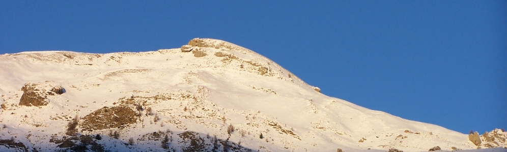 Soleil Boeuf 15 Novembre 2008
