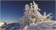 Villard de Lans - Poudrerie du 7 décembre 2008