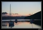 Picton
