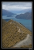 Lac Wanaka