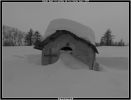 y'a un peu de neige !!!