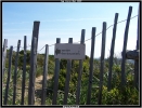 Le sentier des douaniers
