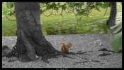 ...Hyde Park