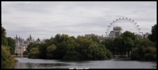 Vue sur london Eye depuis Hyde Park