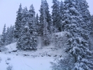 petit passage entre les sapins coté gauche bien sympatique