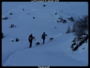 J.luc et ses chiens