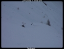 Un peu de neige !!!