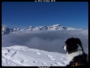 Mer de nuages