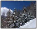 neige fraiche