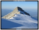 Le tourond
