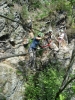 Le pont de singe