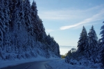 la montée grandiose avec les abres chargés de neige 