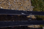 i4