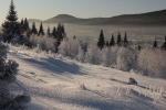 Paysage sibérien