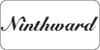 Ninthward skis
