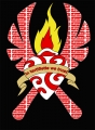 Rider heart