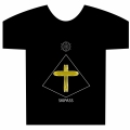 ▲
