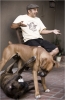 Steve Caballero, légende du skate...