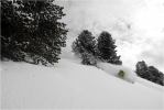 Pourquoi fabrique-t-on des skis ? Pour �a !