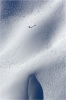 Nicolas Kachelhoffer sur cette �trange neige n�o-z�landaise.