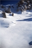 L'un des couloirs d�frich�s par Aur�lien.