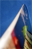 D�tail sur le talon plat.