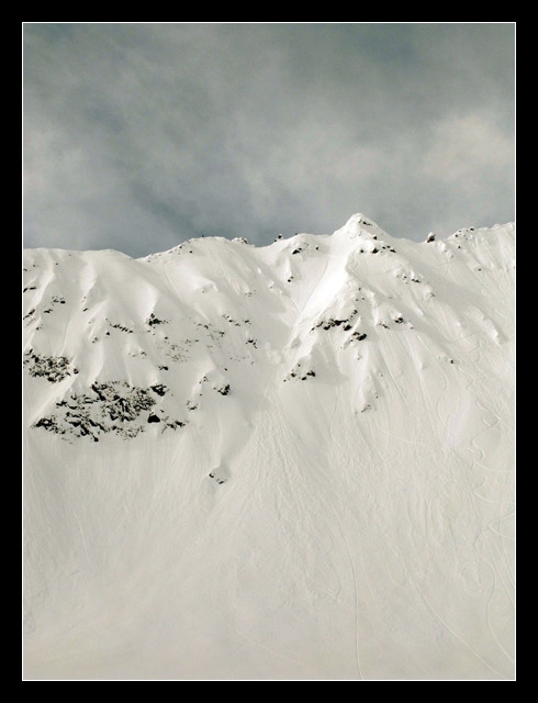 Deflower vue du bas