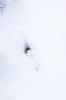 Per Huss sous la Casse des Boeufs à Serre-Chevalier. Je suis assis sur le télésiège, il skie sous moi. Nous avons fait cela pendant 4 heures pour être bien synchronisés.