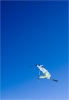 Youpiiii le Mondial du Freeski.