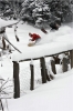 La planche à neige locale et ancestrale.