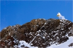Las lenas, Argentine. Saut de l'ange en combinaison jaune.