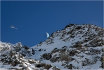 Yohan Estève dans la face de l'épreuve de freeride.