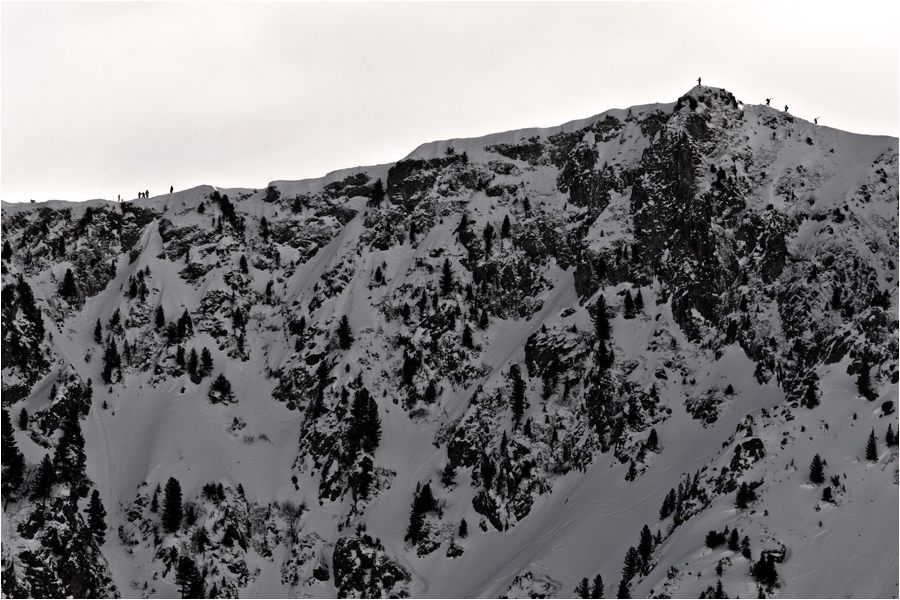 Back to powder