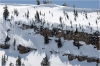 Sage Cattabriga.