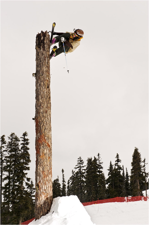 The Log of Love.