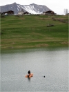 Y'a plus qu'à sortir tout ça du lac...