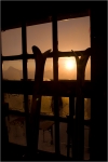 Ambiance sunset.
