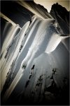 Sage Cattabriga.