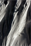 Sage Cattabriga.