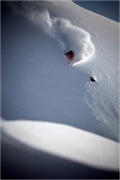 Loris (photo Dom Daher).
