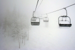 dans la brume