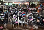 Shibuya crossing