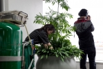pas de plantes en plastoc ici!