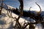 Dylan Hood, Silverton Colorado.