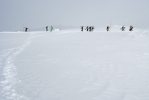 domination du snowboard