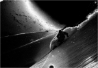 Photo : Thilo Brunner