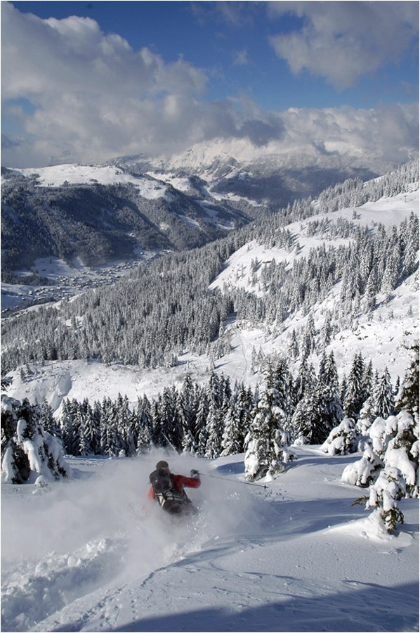 Freeride 
