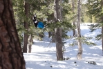 Tree ride